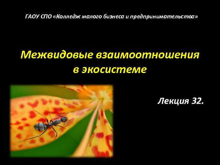 ГАОУ СПО «Колледж малого бизнеса и предпринимательства» Межвидовые взаимоотношения в экосистеме Лекция 32. 