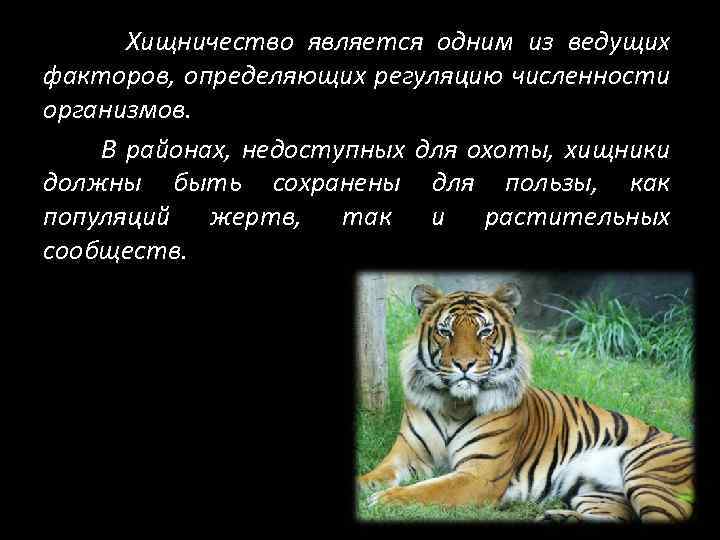 Хищничество является одним из ведущих факторов, определяющих регуляцию численности организмов. В районах, недоступных для