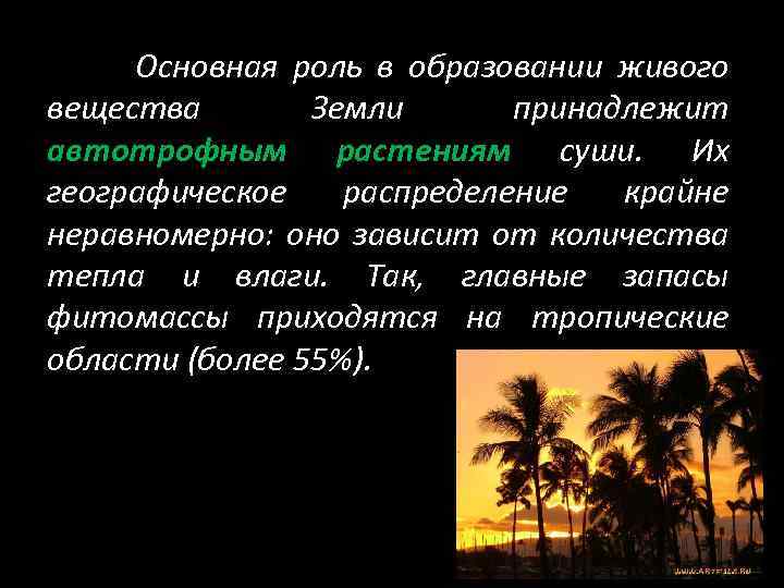 Основная роль в образовании живого вещества Земли принадлежит автотрофным растениям суши. Их географическое распределение