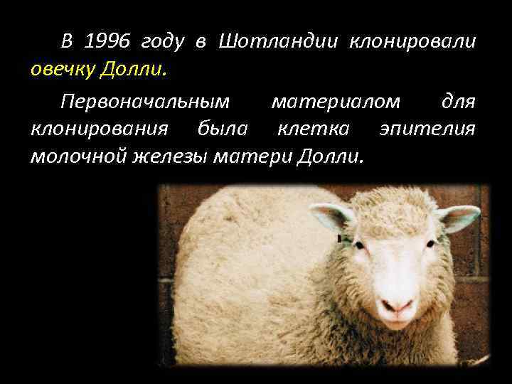 В 1996 году в Шотландии клонировали овечку Долли. Первоначальным материалом для клонирования была клетка