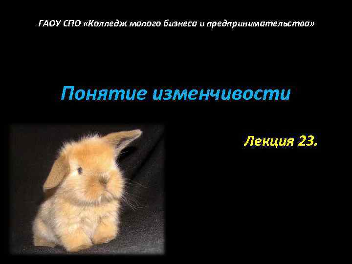 ГАОУ СПО «Колледж малого бизнеса и предпринимательства» Понятие изменчивости Лекция 23. 