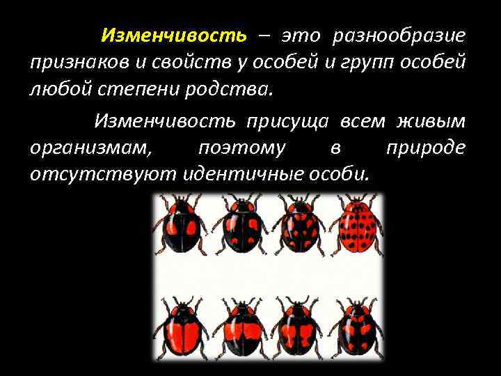 Изменчивость особей. Изменчивость Божьих коровок. Окраска Божьей коровки это изменчивость. Внутривидовая изменчивость узоров надкрылий у Божьей коровки. Примеры изменчивости Божьи коровки.