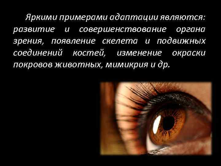 Яркими примерами адаптации являются: развитие и совершенствование органа зрения, появление скелета и подвижных соединений