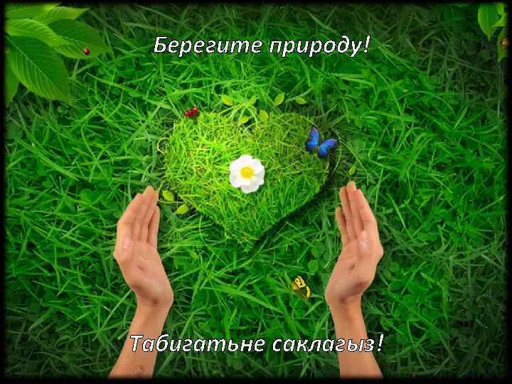 Берегите природу! Табигатьне саклагыз! 