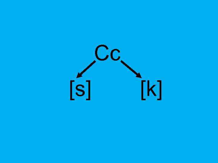 Сс [s] [k] 