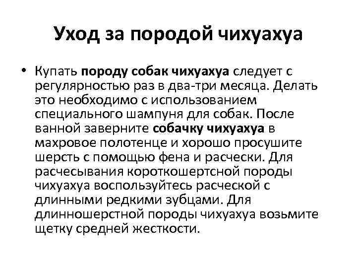 Уход за породой чихуахуа • Купать породу собак чихуахуа следует с регулярностью раз в