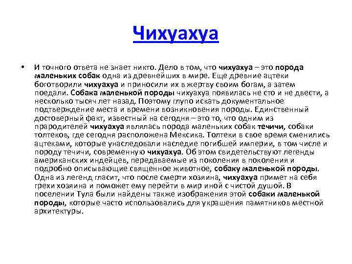Чихуахуа • И точного ответа не знает никто. Дело в том, что чихуахуа –