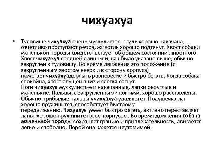 чихуахуа • Туловище чихуахуа очень мускулистое, грудь хорошо накачана, отчетливо проступают ребра, животик хорошо