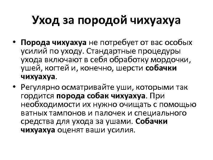 Уход за породой чихуахуа • Порода чихуахуа не потребует от вас особых усилий по