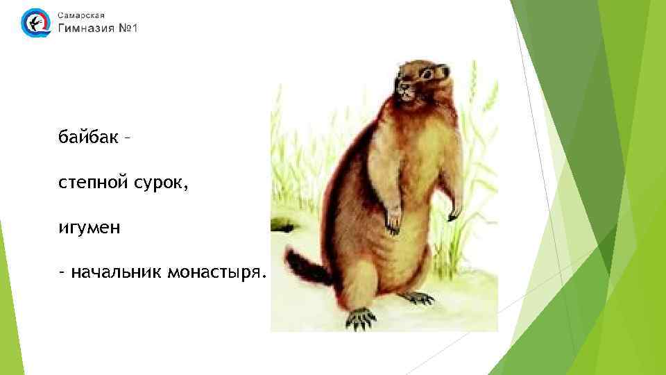 байбак – степной сурок, игумен - начальник монастыря. 