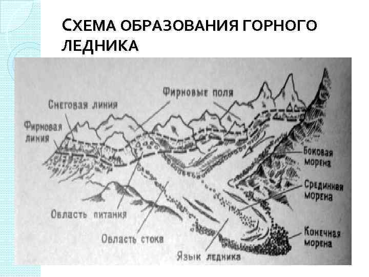 Какой природный процесс отображен на схеме снеговая линия фирновый бассейн