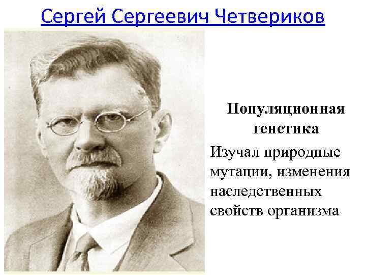 Сергей Сергеевич Четвериков Популяционная генетика Изучал природные мутации, изменения наследственных свойств организма 
