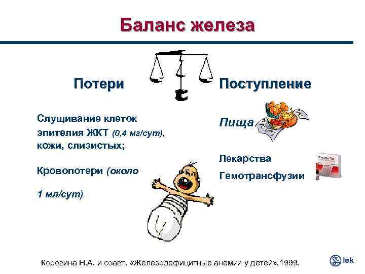 Баланс железа Потери Слущивание клеток эпителия ЖКТ (0, 4 мг/сут), кожи, слизистых; Поступление Пища