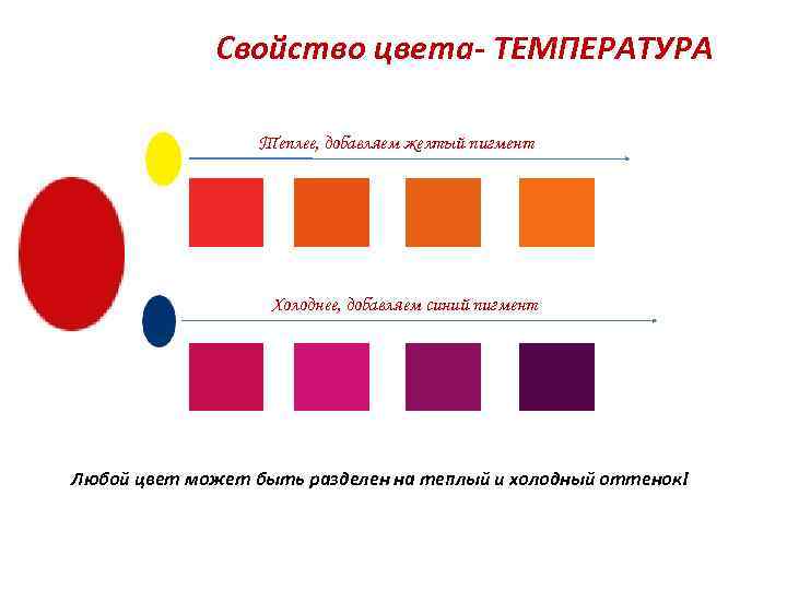 Свойства цвета. Свойства цветов. Назовите 3 основных свойства цвета. Поверхностные свойства цвета. Собственные свойства цвета.