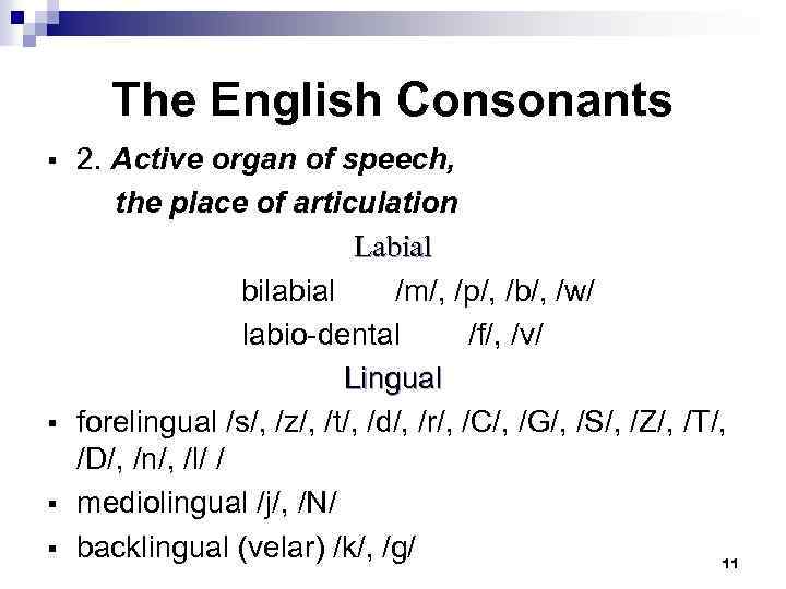 The English Consonants § § 2. Active organ of speech, the place of articulation