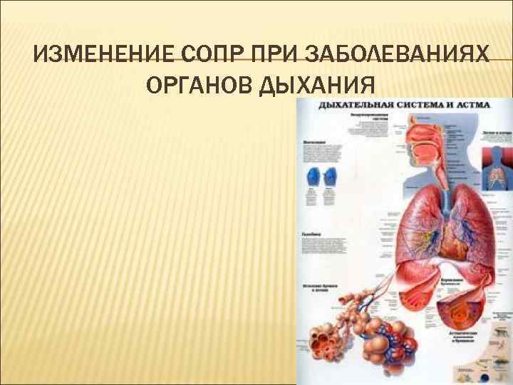 ИЗМЕНЕНИЕ СОПР ПРИ ЗАБОЛЕВАНИЯХ ОРГАНОВ ДЫХАНИЯ 