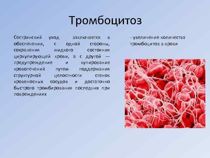 Заболевания органов кроветворения у детей презентация