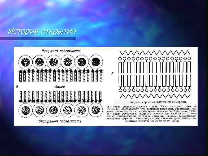 История открытия 