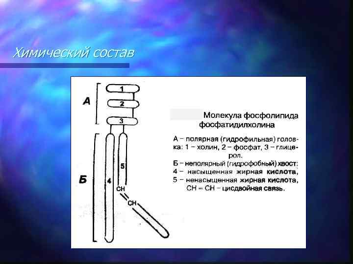 Химический состав 