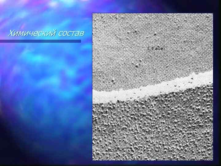 Химический состав 