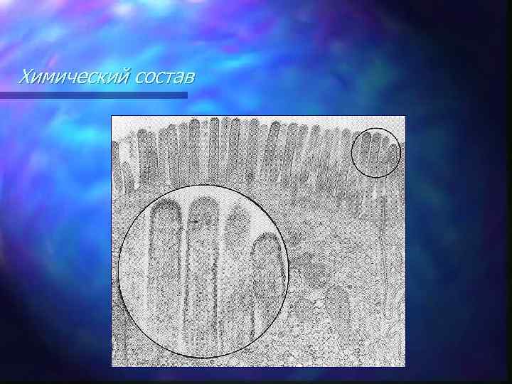 Химический состав 