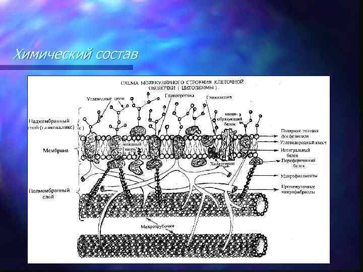 Химический состав 