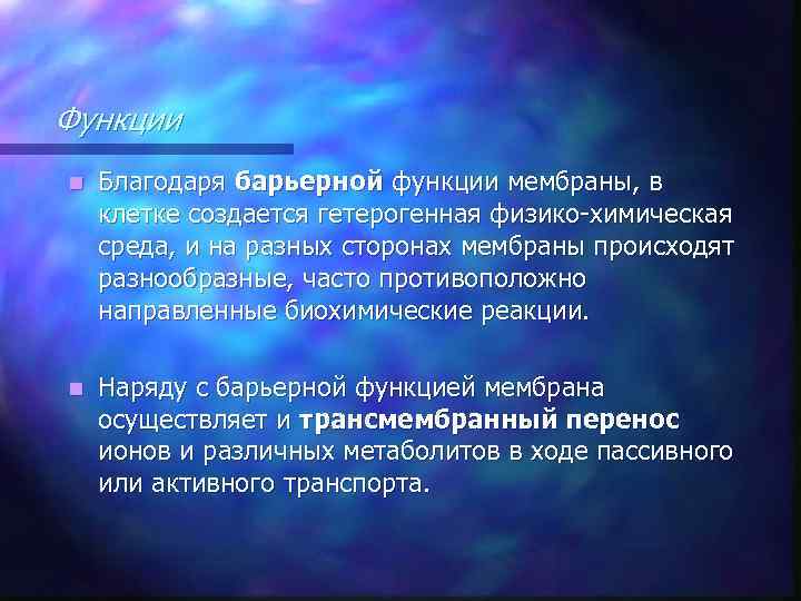 Функции n Благодаря барьерной функции мембраны, в клетке создается гетерогенная физико-химическая среда, и на