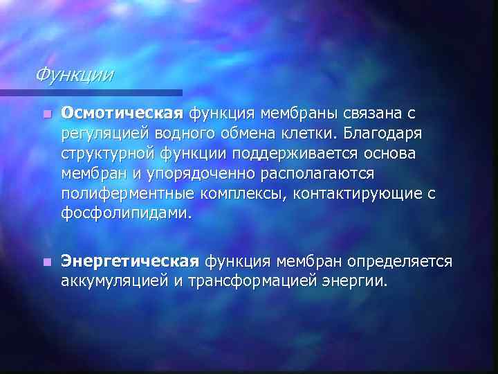Функции n Осмотическая функция мембраны связана с регуляцией водного обмена клетки. Благодаря структурной функции