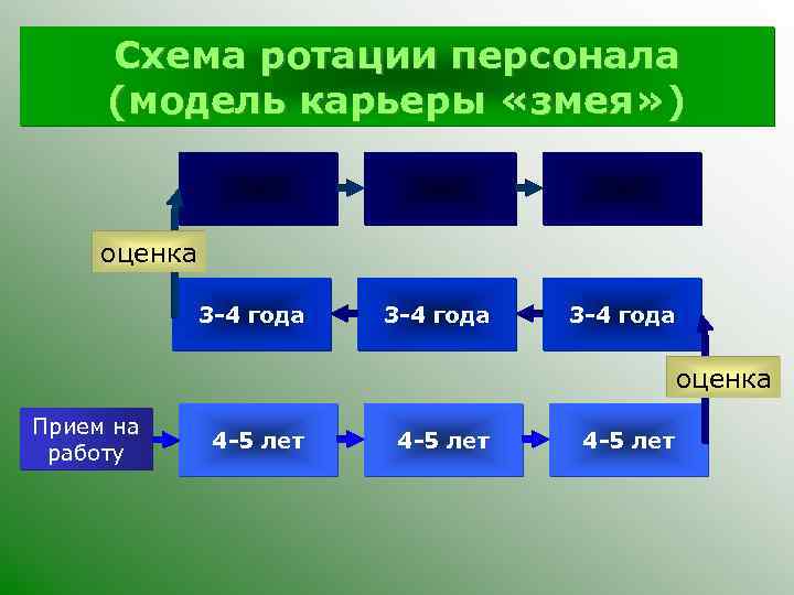 Схема ротации персонала (модель карьеры «змея» ) оценка 3 -4 года оценка Прием на