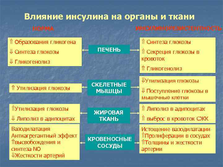 Влияние инсулина на органы и ткани ИНСУЛИНОРЕЗИСТЕНТНОСТЬ НОРМА Образования гликогена Синтеза глюкозы ПЕЧЕНЬ Гликогенолиз