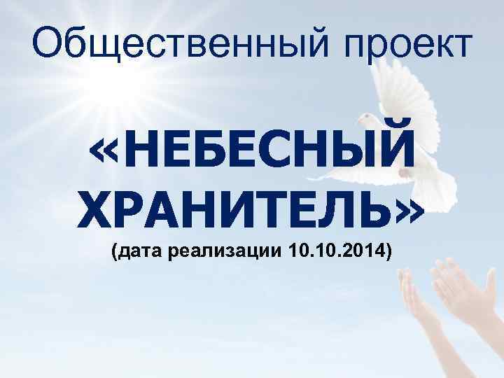 Общественный проект «НЕБЕСНЫЙ ХРАНИТЕЛЬ» (дата реализации 10. 2014) 