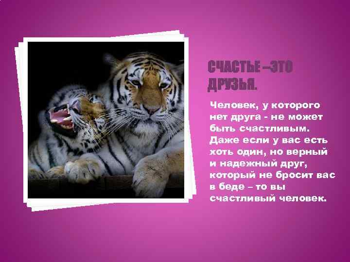 СЧАСТЬЕ –ЭТО ДРУЗЬЯ. Человек, у которого нет друга - не может быть счастливым. Даже