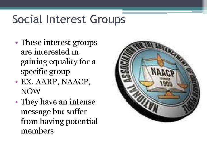 Social Interest Groups • These interest groups are interested in gaining equality for a