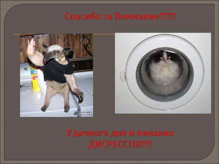 Спасибо за Внимание!!!!!! Удачного дня и никаких ДИСРЕССОВ!!!! 