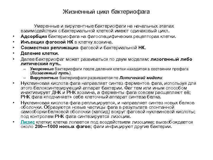 Жизненный цикл бактериофага • • • Умеренные и вирулентные бактериофаги на начальных этапах взаимодействия