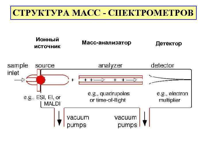 Структура масс. Схема стационарного масс-спектрометра. Масс-спектрометр принцип работы. Молекулярный Ион в масс-спектрометрии. Масс анализаторы в масс спектрометрии.