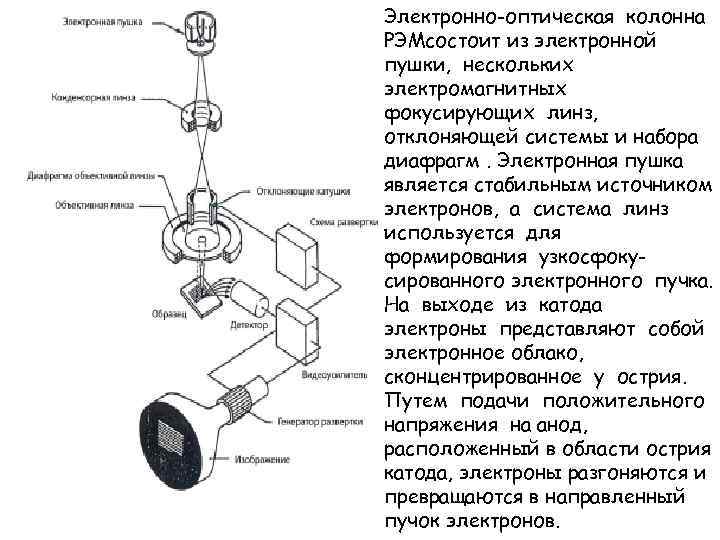 Электронно-оптическая колонна РЭМсостоит из электронной пушки, нескольких электромагнитных фокусирующих линз, отклоняющей системы и набора