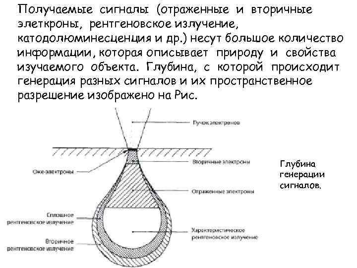 Получаемые сигналы (отраженные и вторичные элеткроны, рентгеновское излучение, катодолюминесценция и др. ) несут большое