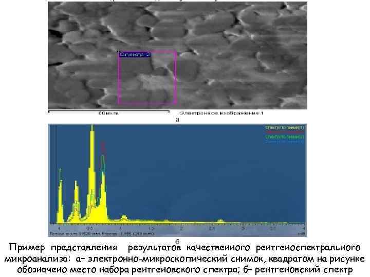 Пример представления результатов качественного рентгеноспектрального микроанализа: а− электронно-микроскопический снимок, квадратом на рисунке обозначено место