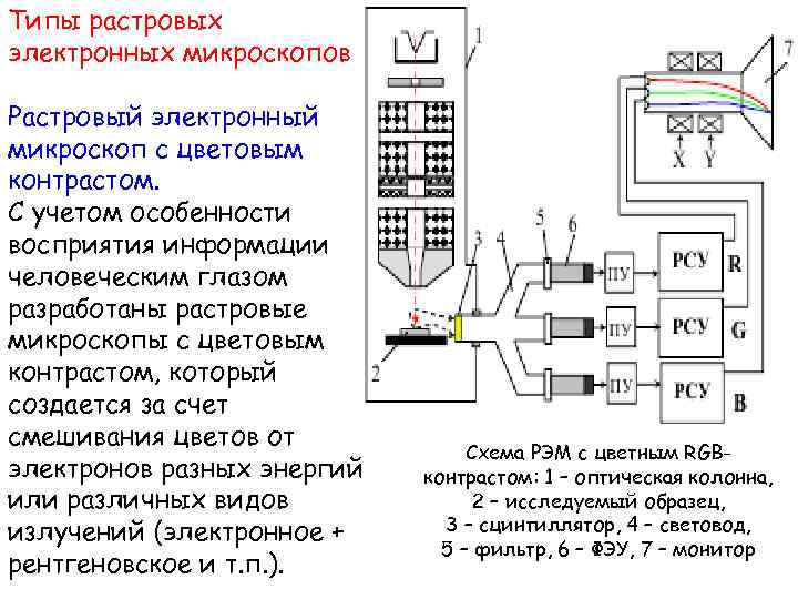 Типы растровых электронных микроскопов Растровый электронный микроскоп с цветовым контрастом. С учетом особенности восприятия