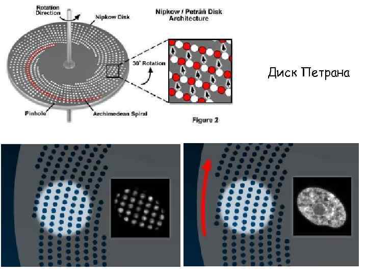 Диск Петрана 