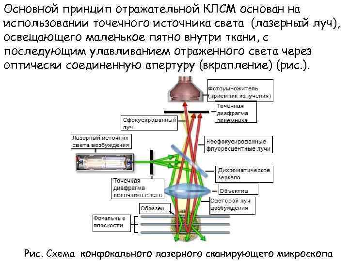 Основной принцип отражательной КЛСМ основан на использовании точечного источника света (лазерный луч), освещающего маленькое