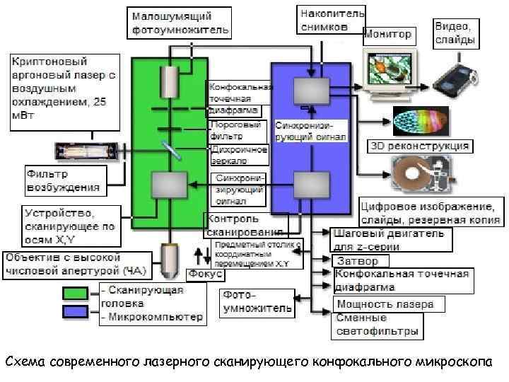 Схема современного лазерного сканирующего конфокального микроскопа 