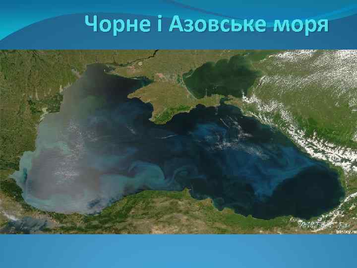 Чорне і Азовське моря 