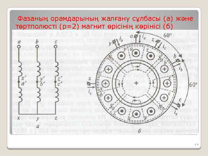 Фазаның орамдарының жалғану сұлбасы (а) және төртполюсті (р=2) магнит өрісінің көрінісі (б) 19 