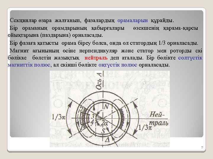 Секциялар өзара жалғанып, фазалардың орамаларын құрайды. Бір ораманың орамдарының қабырғалары өзекшенің қарама-қарсы ойықтарына (паздарына)