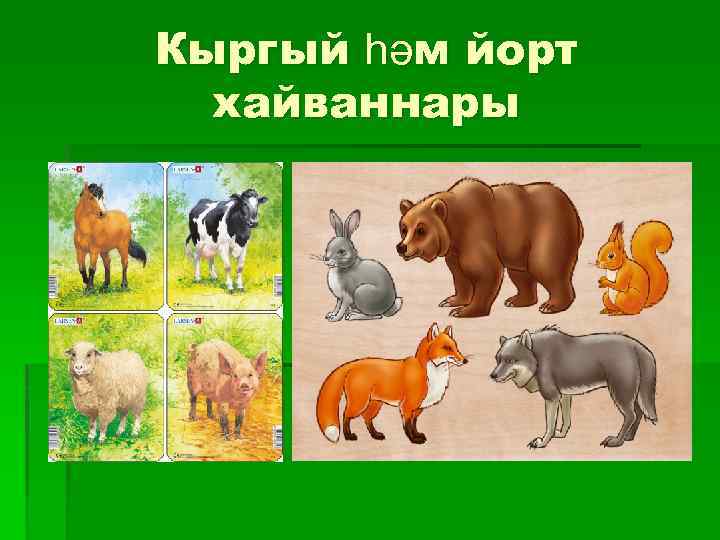 Йорт хайваннары һәм кошлары 1 класс презентация