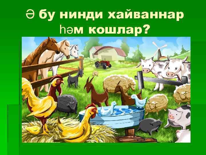 Ә бу нинди хайваннар һәм кошлар? 