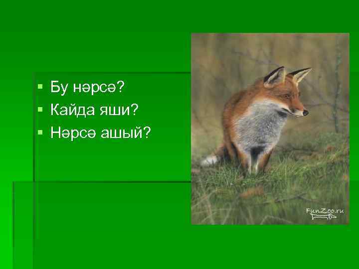 § § § Бу нәрсә? Кайда яши? Нәрсә ашый? 