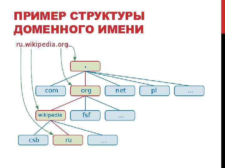 Компьютерные сети лекции